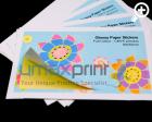 Glossy Paper/White Plastic Stickers (Print Promo)