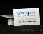 Metallic Plastic Cards - 0.30mm thickness