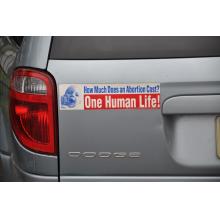 Bumper Plastic Stickers